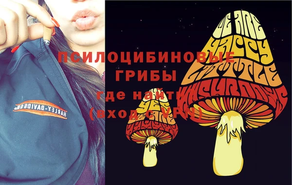 прущий лед Белокуриха