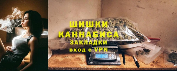 индика Семёнов