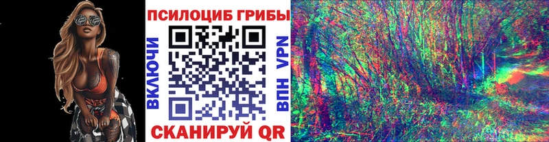 Псилоцибиновые грибы MAGIC MUSHROOMS  Торопец 